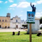 Oria, un’ordinanza che tutela il verde pubblico: multe fino a 500 euro Ordinanza