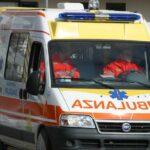 Punto da centinaia di api nelle campagne del Brindisino, muore un 68enne aataranto 1695465076955.jpg punto da centinaia di api nelle campagne del brindisino 68enne muore in campagna