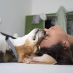 Oria: Al via l’iniziativa del Comune per gli animali “Chi adotta un amico trova un tesoro” Chi adotta un amico adotta un tesoro